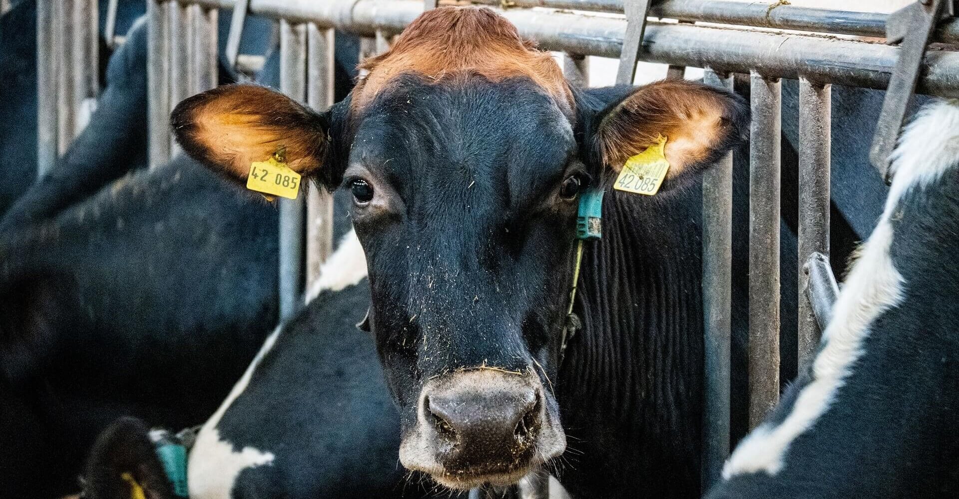 Εξοπλισμός εγκαταστάσεων