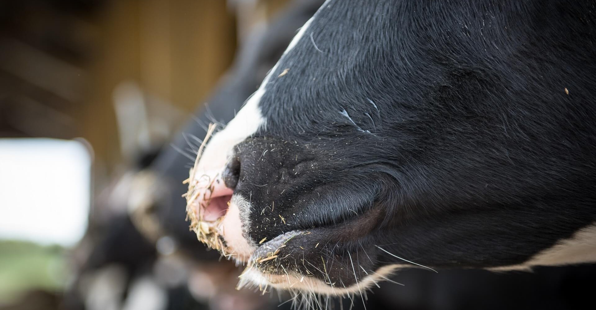 Ισορροπιστές