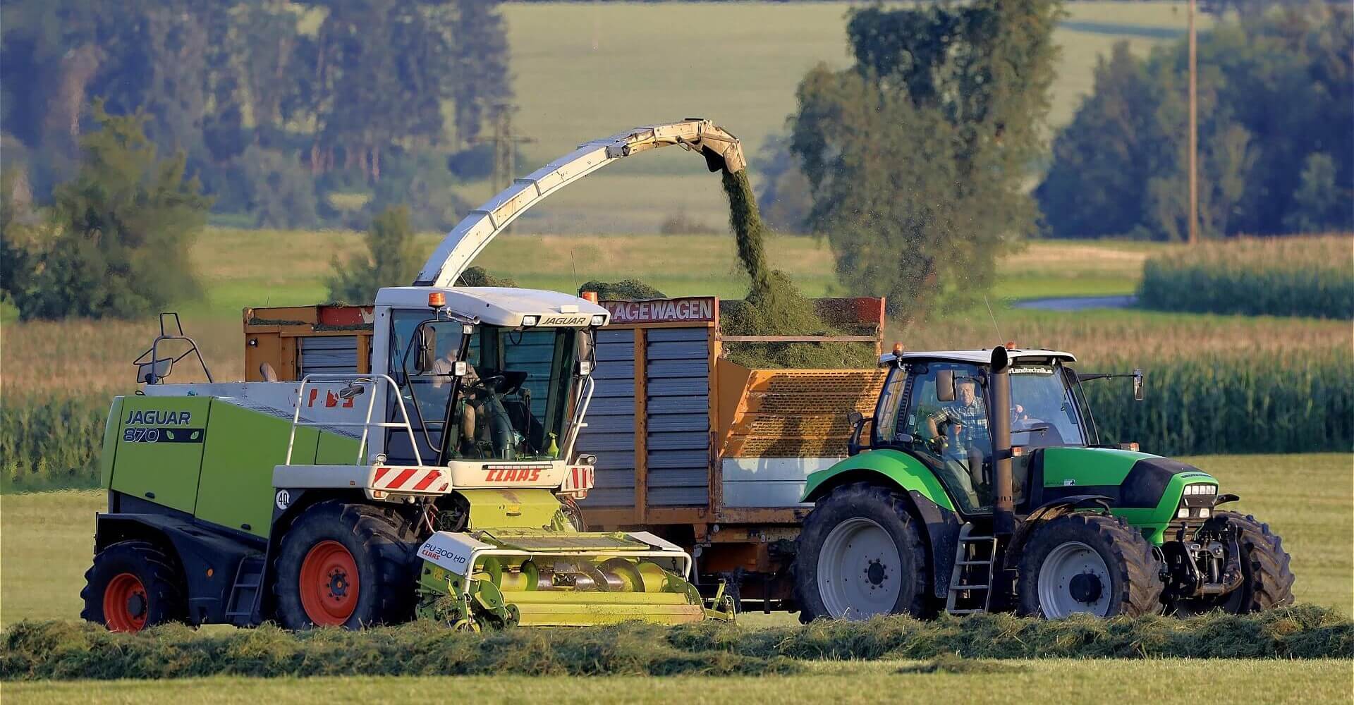 Ενσίρωση & Συντήρηση Ζωοτροφών